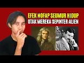 Download Lagu Dua Manusia Terpintar di Planet Bumi Ini 'Menyetujui' NoFap
