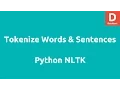 Tokenizing Words Sentences with Python NLTK