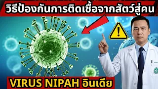 ไวรัสนิปาคืออะไร และมันติดต่อจากสัตว์สู่คนได้อย่างไร