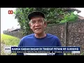 Download Lagu Harga Gabah Basah di Tingkat Petani Rp8.000/kg