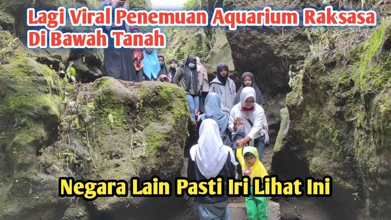 
          
          
          
            
            Lagi Viral Penemuan Situs Aquarium Raksasa Di Bawah Tanah Tengah Hutan Bikin Iri Negara Lain
          
        . 