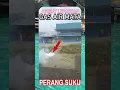 Download Lagu TEMBAKAN \