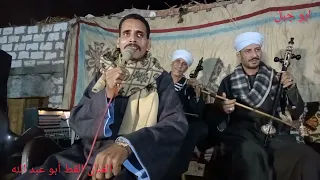 القط أبو عبد الله 