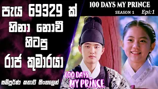 20 100 days my prince epi 1 recap so what sl