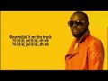 GIMS - YOLO PAROLES CHIPMUNKS