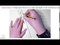 Construction 12 - Triangle given measure of 2 angles and length of side in between A S A