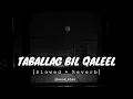 Download Lagu Tabalagh bil qaleel slowed and reverb