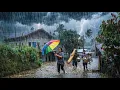 EXTREME WEATHER in Indonesia Torrential Rain my in Village - Rain Sounds for Deep Sleep