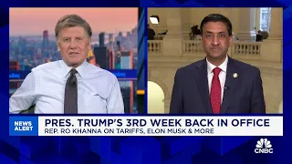 Rep. Khanna: If Elon Musk finds fraud or wasteful spending, come to Congress and force a vote on it