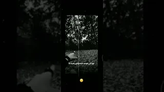 هیچ کس نفهمید ما یه مرگمون هست 