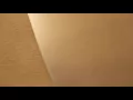 david dobriks age restricted vlog