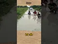 Download Lagu HASIL MANCING IKAN Paling MENGEJUTKAN #shorts