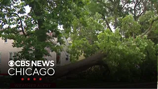 Massive power outages reported across Illinois Indiana