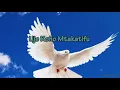 Download Lagu Uje Roho Mtakatifu.