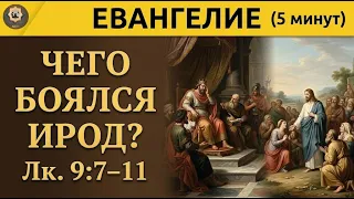 29 октября Евангелие Как правильно отвечать на вопросы о вере.