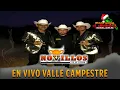 Soy Beltran (En Vivo Valle Campestre 2020) - Novillos De La Sierra