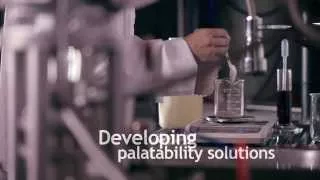BHJ PetFood Digest - Developing palatability solutions