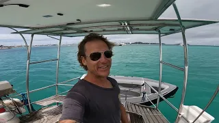 Update from Zingaro! :) No video this week…