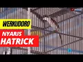 Download Lagu CENDET 250 JUTA cendet WERKUDORO JUARA 1 1 2 - Piala Walikota Pasuruan