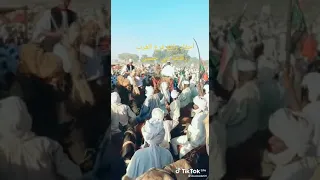 رفاعه قبيلة ليها مسجل التاريخ 