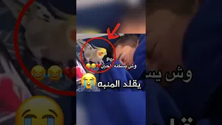 تعلم ببغائه يقلد صوت المنبه وهذا اللي صار صدمة Youtubeshorts 
