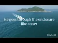 Cosmo-Tanzschein lyrics translated to English