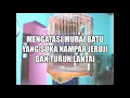 Download Lagu Cara efektif mengatasi murai batu ngeruji dan turun ke lantai//100%ngefek
