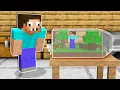 Download Lagu ПРО ЗАСУНУЛ НУБА В БУТЫЛКУ ТЕРРАРИУМ В МАЙНКРАФТ ! МАЛЕНЬКИЙ НУБИК И ТРОЛЛИНГ ЛОВУШКА В MINECRAFT