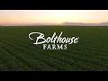 Bolthouse Farms - Career Opportunities