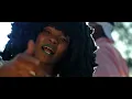 DJ Maphorisa, DJ Raybel - iWalk Ye Phara ft. Moonchild Sanelly, K.O, Zulu Mkhathini