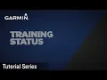 Tutorial - Training Status