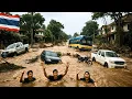 Lagu CHAOS in Thailand! Overstromingen in Hat Yai verwoesten 2.700 huizen en 48.000 mensen raken onthe...