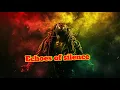 Echoes of Silence | Shimifari (Roots Rebel Reggae 2025)
