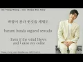 Download Lagu Lim Young Woong - Love Always Run Away (Young Lady and Gentleman OST Part 2) Lyrics [Eng Translate]
