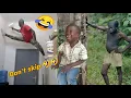 150 Best Funniest Videos Of 2025//Try Not To Laugh Impossible Challenge