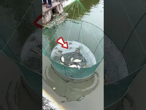 Amazing Fishing tools items.... & Fishing Trap ππ #shorts #trending