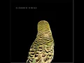 Andrew Bird - Heretics