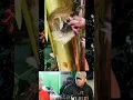 Download Lagu Bersenang-senang dahulu bersakit-sakit kemudian||🤣🤣🤣