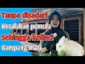 Download Lagu KESALAHAN MEMELIHARA KELINCI | Pemula wajib tahu