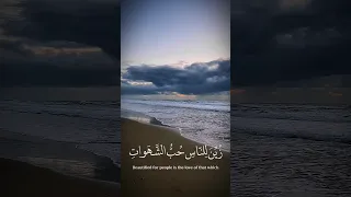 زين للناس حب الشهوات القارئ عبد الرحمن مسعد تفاعلكم لكل جديد بلمتابعه ولايك شكرا لكم 