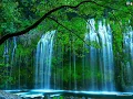 Download Lagu MUZAMMIL HASBALLAH || SURAT AL QIYAMAH...@muzammilhb