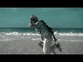 Muerte En Hawaii - calle 13