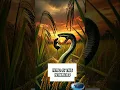 Download Lagu Pertarungan di Sawah: \