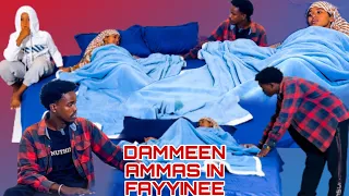 DAMMEEN BAYYEE NAMA MARARTI DHUGA ABSHIR DAMMEE KOO HOMAA MITI NI FAYYITA MOTIF JETE OF MIDHU QABDU 