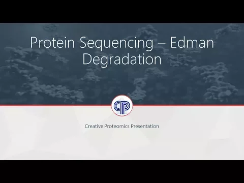 Edman degradation