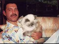 Freddie Mercury - Too Much Love Will Kill You