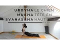 Yoga pour Assouplir le Dos - Explorer les Salutations au Soleil #6 - Le Chien Tête en Haut