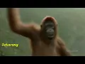 Download Lagu ada nggak ada yang penting ketawa