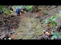 Download Lagu Di Kira Gak Ada Ikan Nya, Setelah Kering Di Kuras Banyak Ikan Gabus Besar Nya.