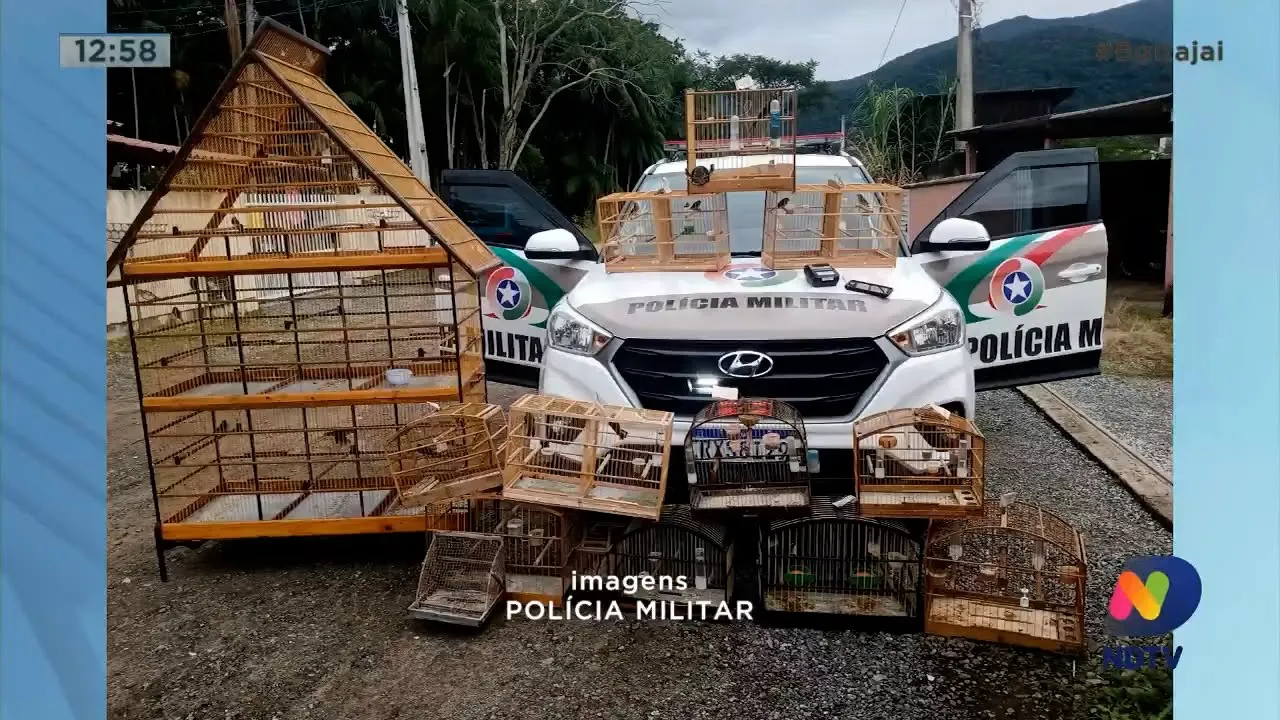 Caças Gripen decolam do aeroporto de Navegantes, e giro de ocorrências da região